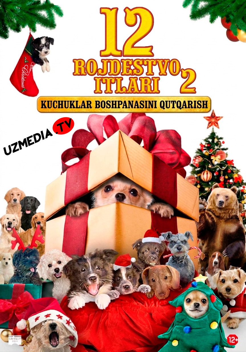 12 Rojdestvo itlari 2 / Rojdestoning 12 iti 2 / Yangi yilning 12 itlari 2 Uzbek tilida O'zbekcha 2012 tarjima kino Full HD skachat