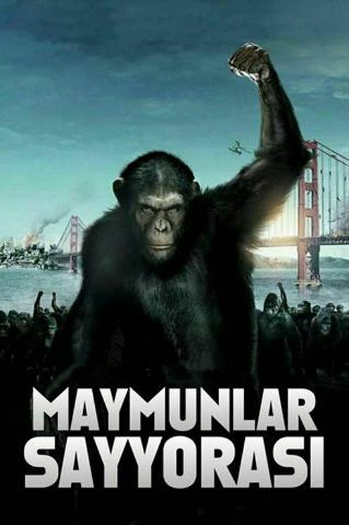 MAYMUNLAR SAYYORASI 1