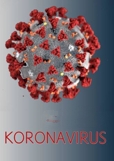KORONAVIRUS UZBEK TILIDA